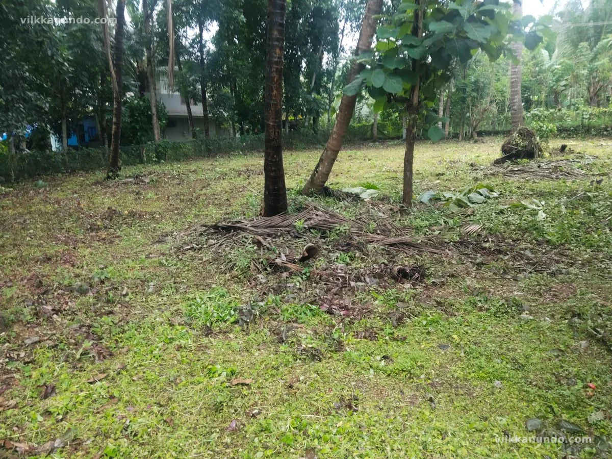 House plot for sale