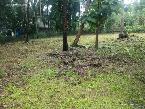 House plot for sale