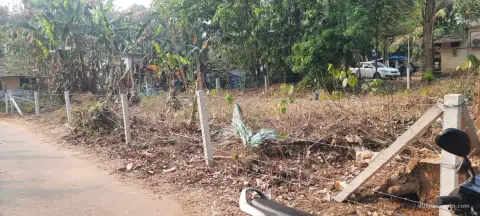 ഹൗസ് പ്ലോട്ട് വിൽപനക്ക്