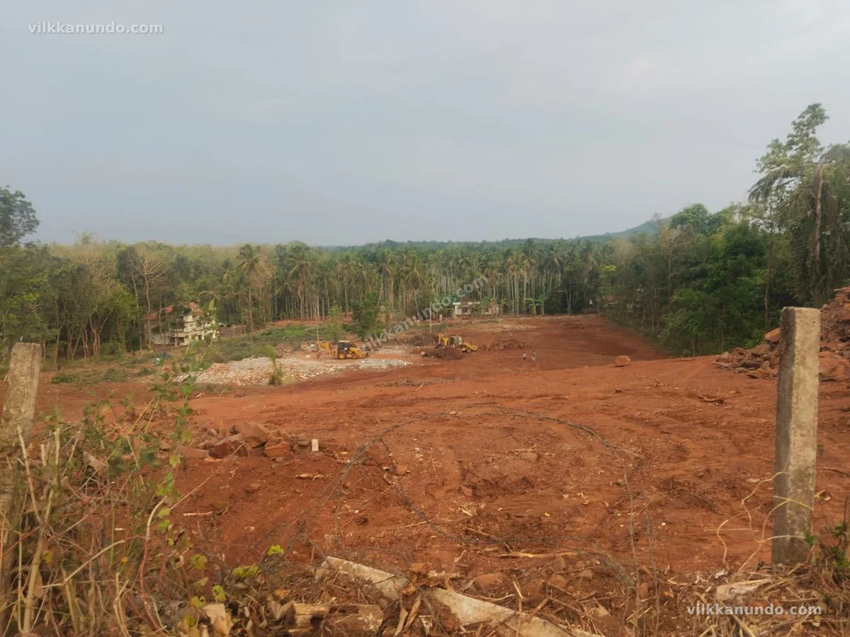 നിലമ്പൂർ മുൻസിപാലിറ്റി ഹൗസ് പ്ലോട്ടുകൾ വിൽപനക്ക്
