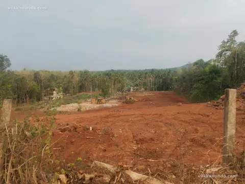നിലമ്പൂർ മുൻസിപാലിറ്റി ഹൗസ് പ്ലോട്ടുകൾ വിൽപനക്ക്