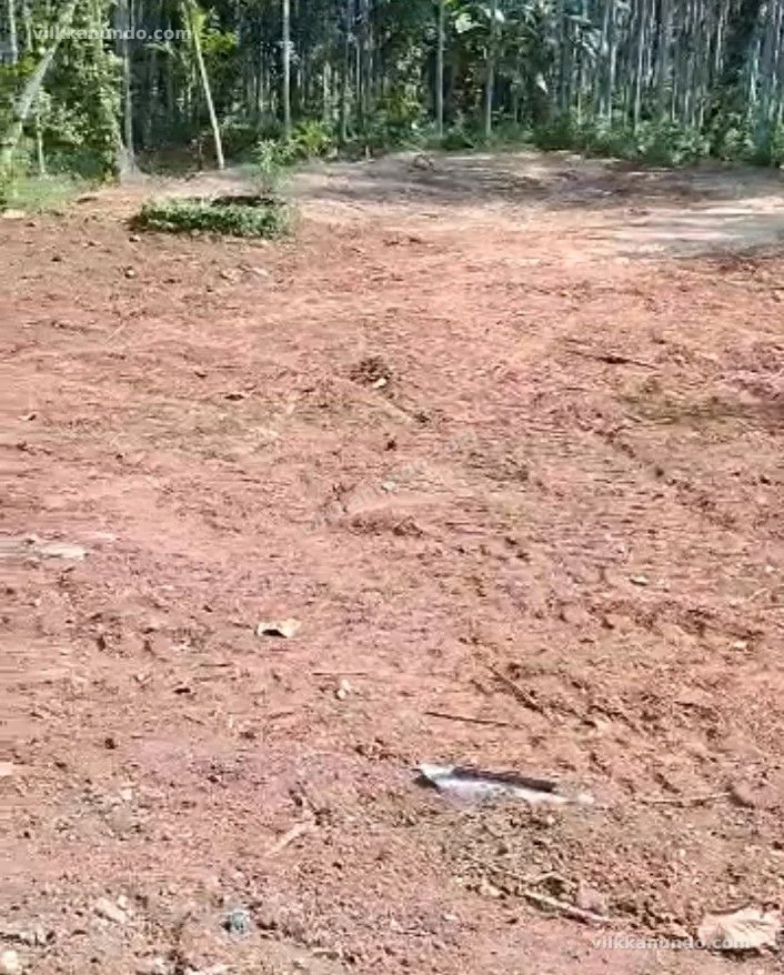 ഹൗസ് പ്ലോട്ട് വിൽപനക്ക്