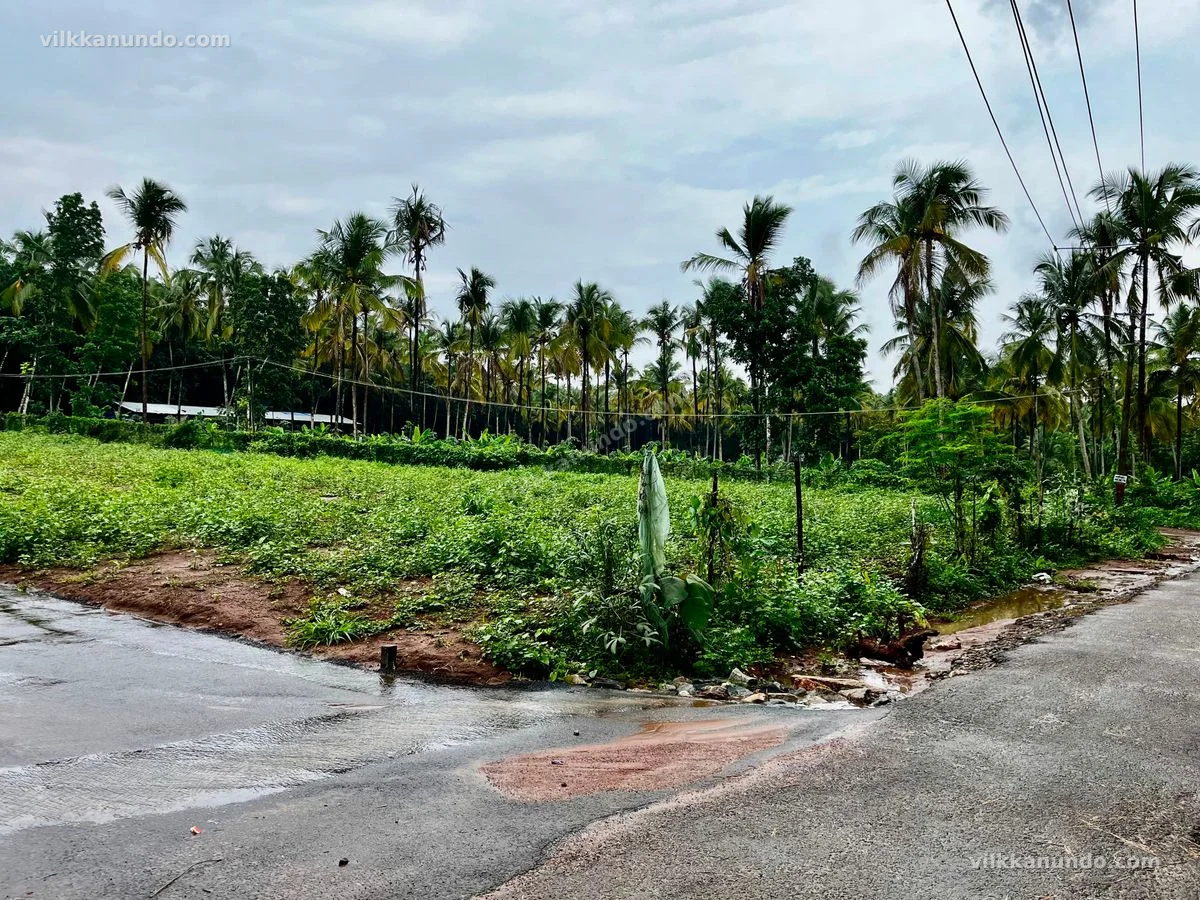 House plot for sale