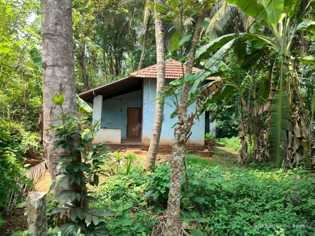 വീടും സ്ഥലവും വിൽപനക്ക്