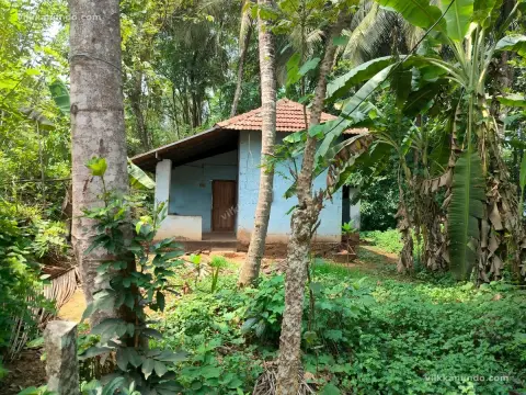 വീടും സ്ഥലവും വിൽപനക്ക്