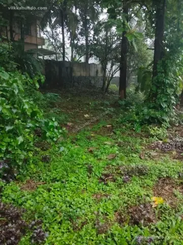 House plot for sale