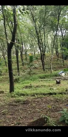Plot for sale