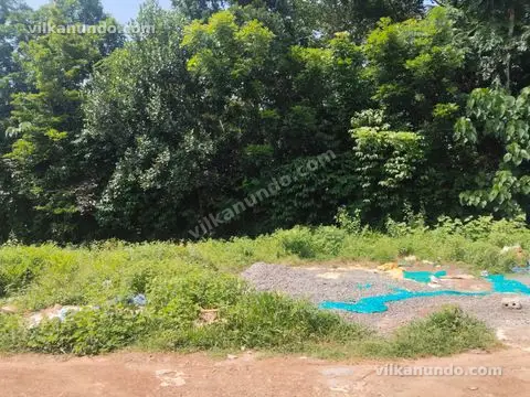 5 cent Land for sale