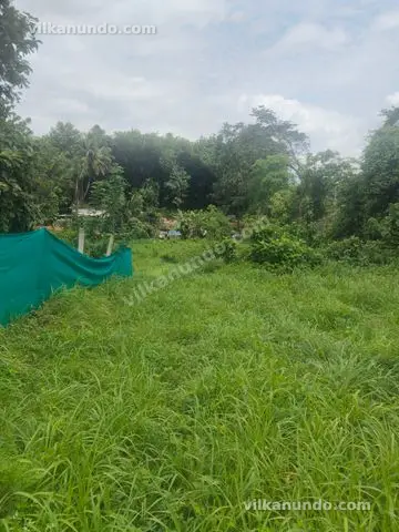 7 cent land for sale