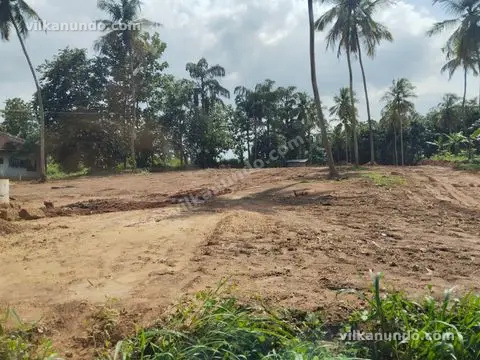 65 cent plot for sale