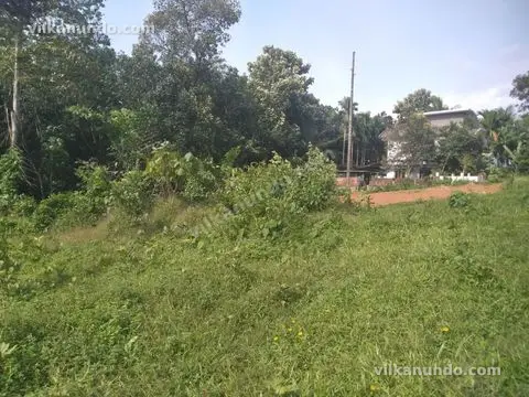 40 cent land sale