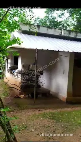 3 cent സഥലവും ചെറിയ വാർപ്പിന്റെ വിടും  വിൽപനക്ക്