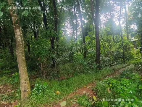 33 cent റബർ തോട്ടം വിൽപനക്ക്