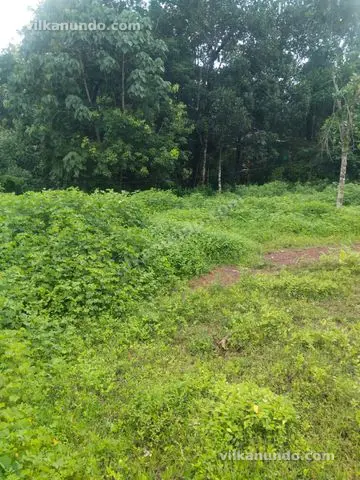 33 cent House plot for sale