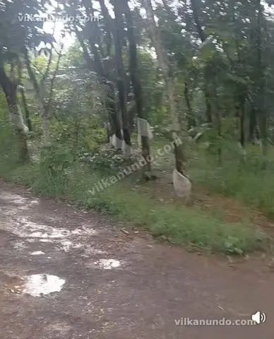 നിലമ്പൂർ പാത്തിപ്പാറ അങ്ങാടി 45 സെന്റ് വിൽപനക്ക്