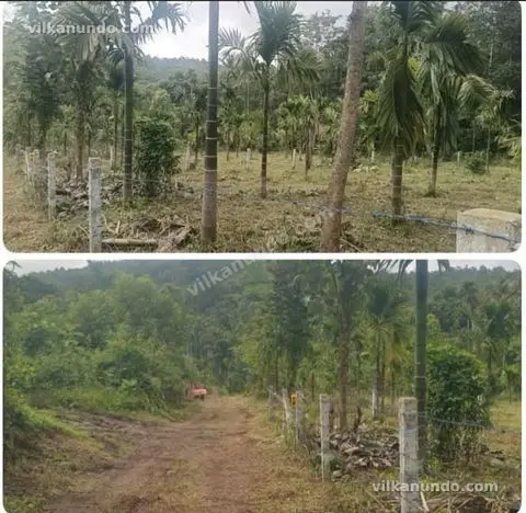 land for sale @pulpally