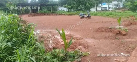 14 സെൻറ് ഹൗസ് പ്ലോട്ട് കുട്ടി പാറയിൽ വിൽപനക്ക്