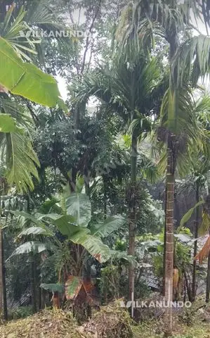 95 Cent സെൻറ് സ്ഥലം വിൽപനക്ക്