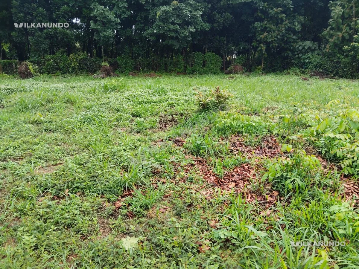 11.5 cent land for sale@ maramangalam