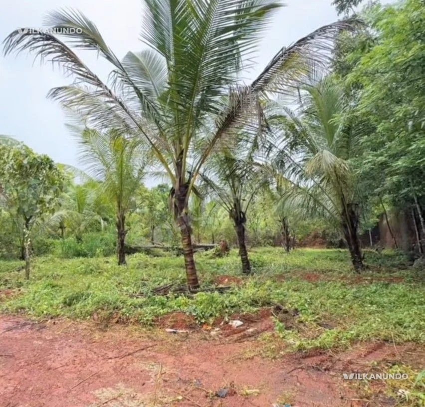 54 cent land for sale