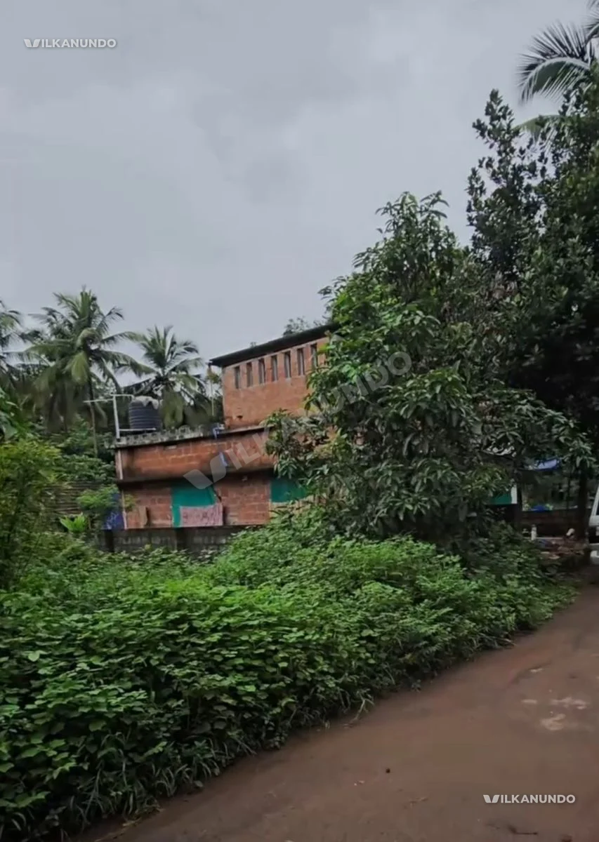 മലപ്പുറം പൂക്കോട്ടുംപാടം പുതിയക്കോട് ഷട്ടർ റൂം അടക്കം 29 സെൻറ് സ്ഥലം വിൽപനക്ക്