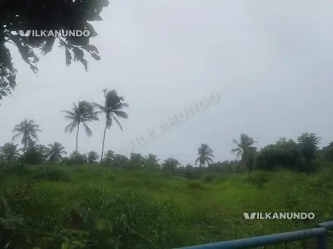 പെരിന്തൽമണ്ണ പാലോളിപറമ്പ് ഏരവിമംഗലം സ്‌കൂളിൻ്റെ അടുത്തായി പ്ലോട്ടുകൾ വിൽപനക്ക്