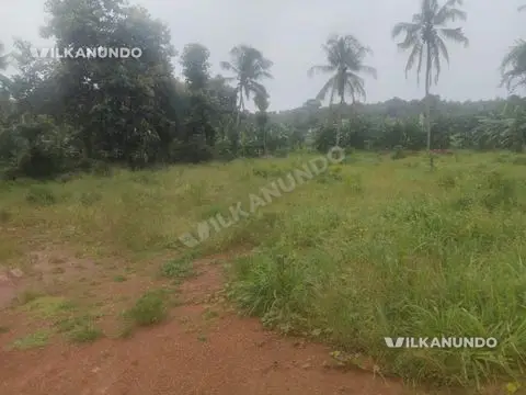 പെരിന്തൽമണ്ണ ഏരവിമംഗലത്ത് ഹൗസ് പ്ലോട്ട് വിൽപനക്ക്..