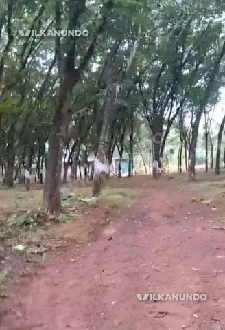 വണ്ടൂരിൽ 3.5 ഏക്കർ റബർ തോട്ടം വിൽപനക്ക്