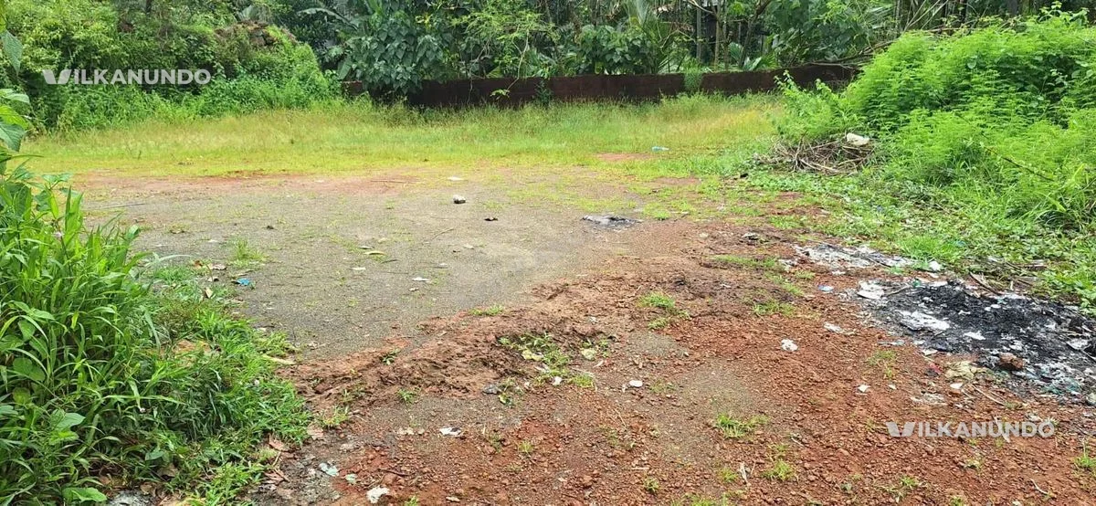 കോട്ടക്കൽ – പെരിന്തൽമണ്ണ റൂട്ടിൽ 15 cent ഹൗസ് പ്ലോട്ട് വിൽപ്പനയ്ക്ക്