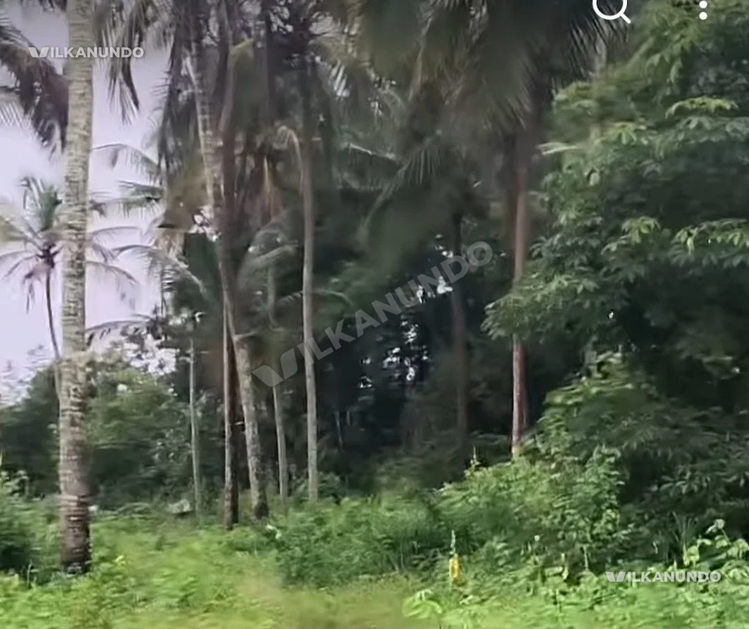 പെരിന്തൽമണ്ണ അങ്ങാടി പുറം വലമ്പൂരിൽ ഹൗസ് പ്ലോട്ടുകകൾ വിൽപനക്ക്