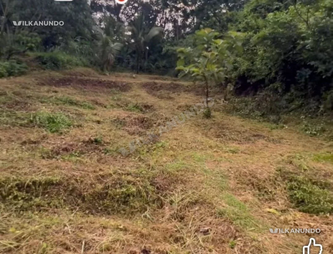 വണ്ടൂർ മഞ്ചേരി റോഡിൽ വാളോറിങ്ങലിൽ നിന്നും 500 മീറ്റർ മാറി 20 Cent ഹൗസ് പ്ലോട്ട് വിൽപനക്ക്