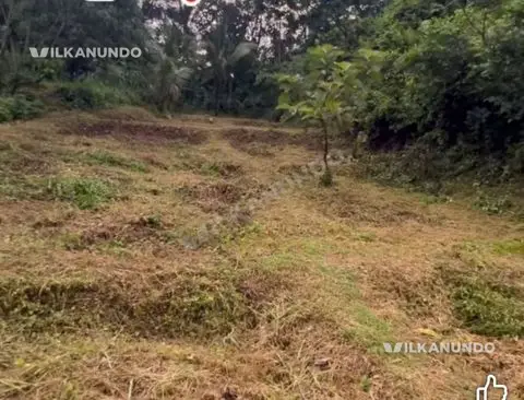 വണ്ടൂർ മഞ്ചേരി റോഡിൽ വാളോറിങ്ങലിൽ നിന്നും 500 മീറ്റർ മാറി 20 Cent ഹൗസ് പ്ലോട്ട് വിൽപനക്ക്