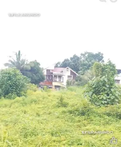 നിലമ്പൂർ കാരാട് മെയിൻ റോഡിന്റെ സെക്കൻറ് പ്ലോട്ടായി 24 Cent ഹൗസ് പ്ലോട് വിൽപനക്ക്....