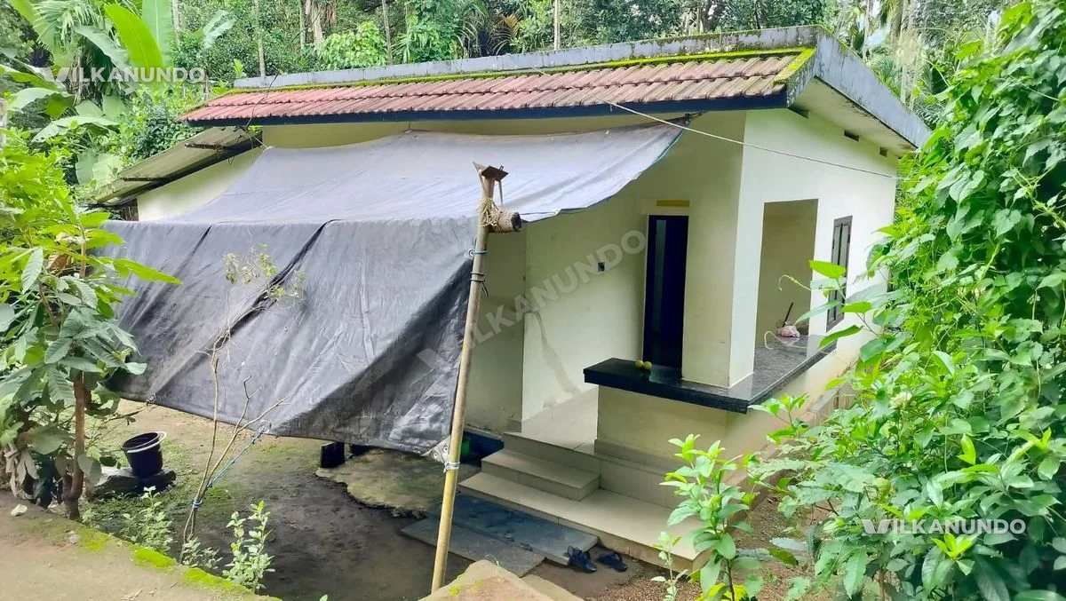 7 Cent സ്ഥലവും 3 ബെഡ്റൂം വീടും വിൽപനക്ക്
