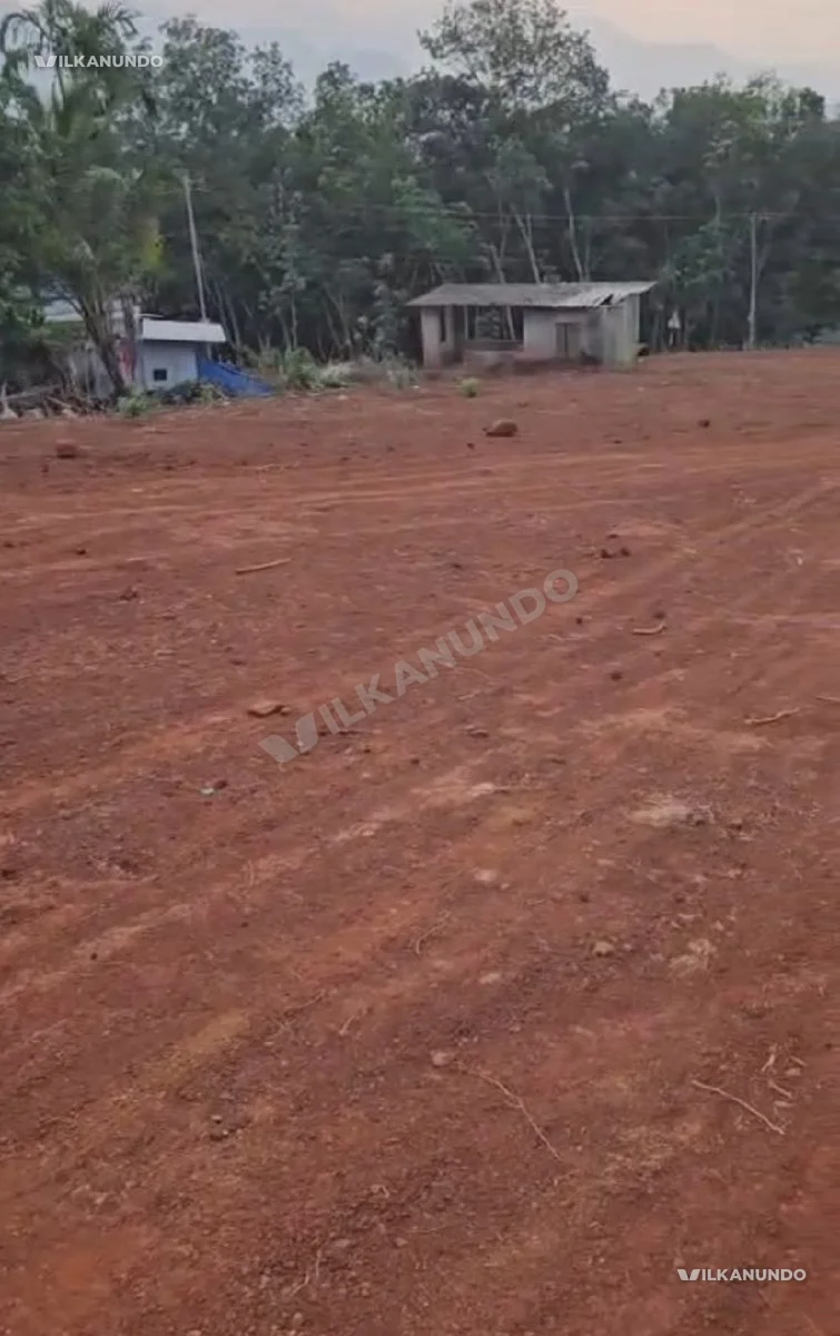 ചുങ്കത്തറ പൂക്കോട്ടുമണ്ണ പോത്ത്കൽ റൂട്ടിൽ ഹൗസ് പ്ലോട്ടുകൾ വിൽപനക്ക്