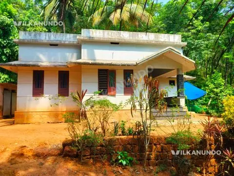 മഞ്ചേരി മുനിസിപ്പാലിറ്റിയിൽ എലമ്പ്ര ഭാഗം  (  മഞ്ചേരിയിൽ നിന്ന് 7.5km )  3 BHK  വിൽപനക്ക്