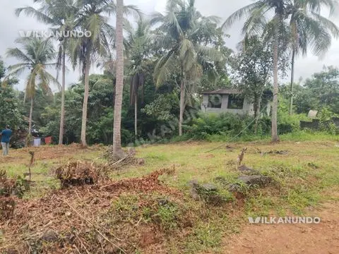 മഞ്ചേരി ടൗണിന്റെ ചുറ്റുവട്ടത്തായി 18.5 സെൻറ് വിൽപനക്ക്