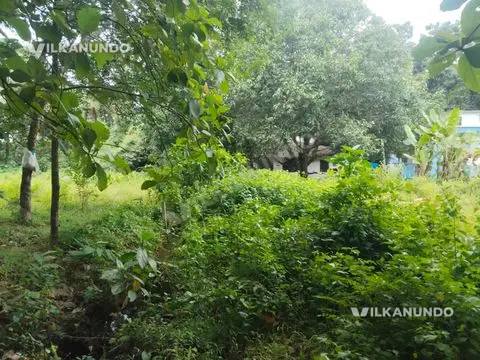 മഞ്ചേരി ചിൻമയ വിദ്യാലയത്തിന്റെ അടുത്ത് 30 Cent ലാന്റ് വിൽപനക്ക്