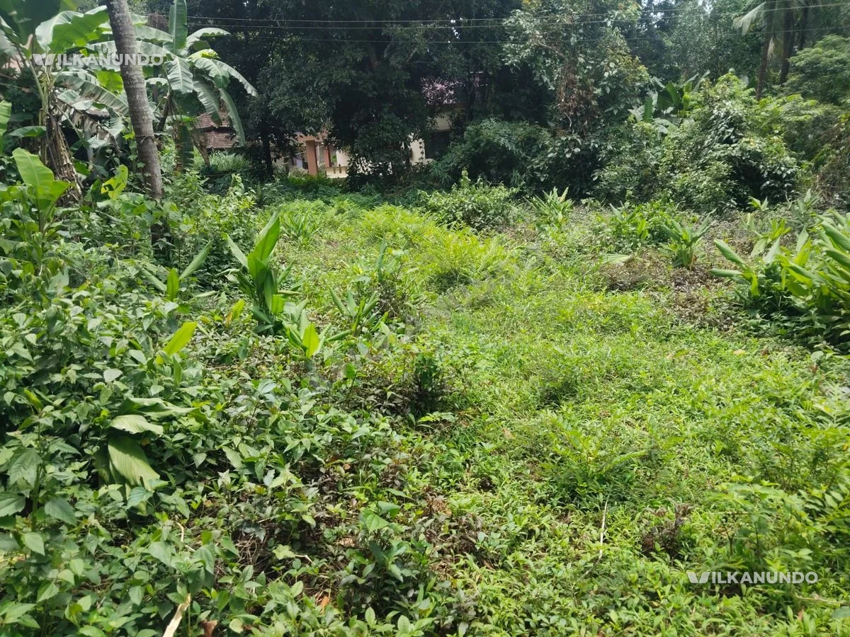 മഞ്ചേരി വേട്ടേക്കാട് 12 Cent ഹൗസ് പ്പോട്ട് വിൽപനക്ക്