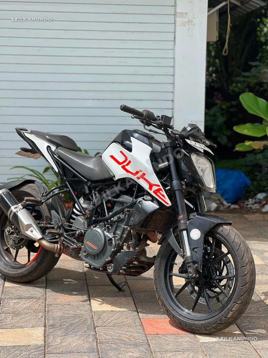 Duke 2502019 model for sale