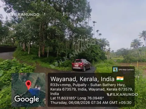 Coffee Plantation (കാപ്പി തോട്ടം)