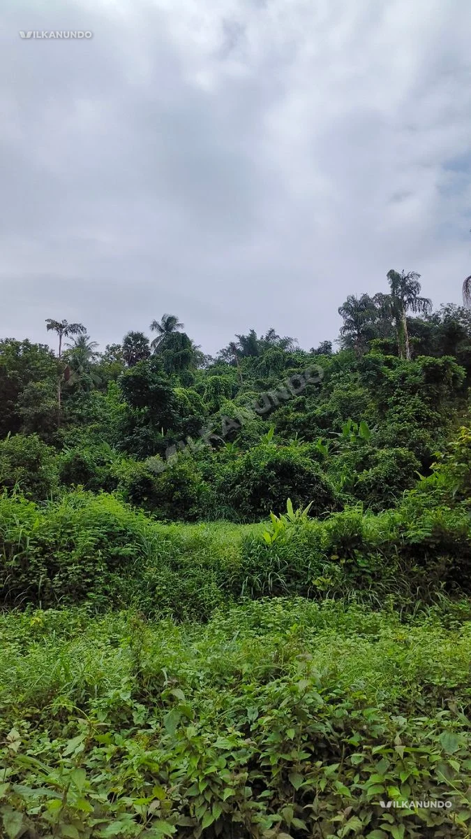 ഹൗസ് പ്ലോട്ടുകൾക്ക് അനുയോജ്യമായ സ്ഥലം വിൽപനക്ക്
