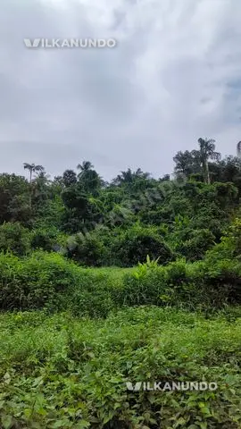 ഹൗസ് പ്ലോട്ടുകൾക്ക് അനുയോജ്യമായ സ്ഥലം വിൽപനക്ക്