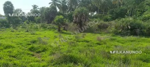 പറമ്പ് വില്പനയ്ക്ക്.