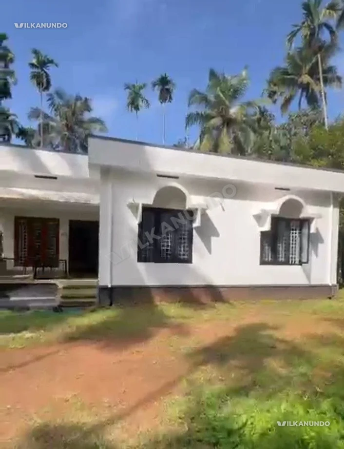 വണ്ടൂർ കാളികാവ് പാറശ്ശേരിയിൽ 19.5 cent വീടും വിൽപനക്ക്