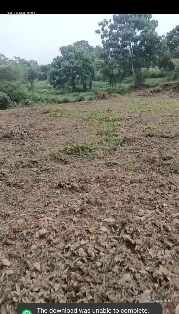 വാണിയമ്പലം ശാന്തി റോഡിൽ നിന്ന് 800 മീറ്റർ അകലത്തിൽ മാട്ടക്കുളം ഭാഗത്ത് 47 സെൻറ് വിൽകാനുണ്ട് .