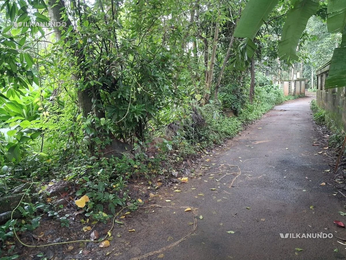 തിരൂർ മാങ്ങാട്ടിരി അനശേരി റോഡിൽ 29 സെൻ്റ് പറബ്ബ് വിൽപ്പനക്ക്