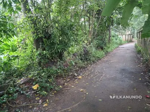 തിരൂർ മാങ്ങാട്ടിരി അനശേരി റോഡിൽ 29 സെൻ്റ് പറബ്ബ് വിൽപ്പനക്ക്