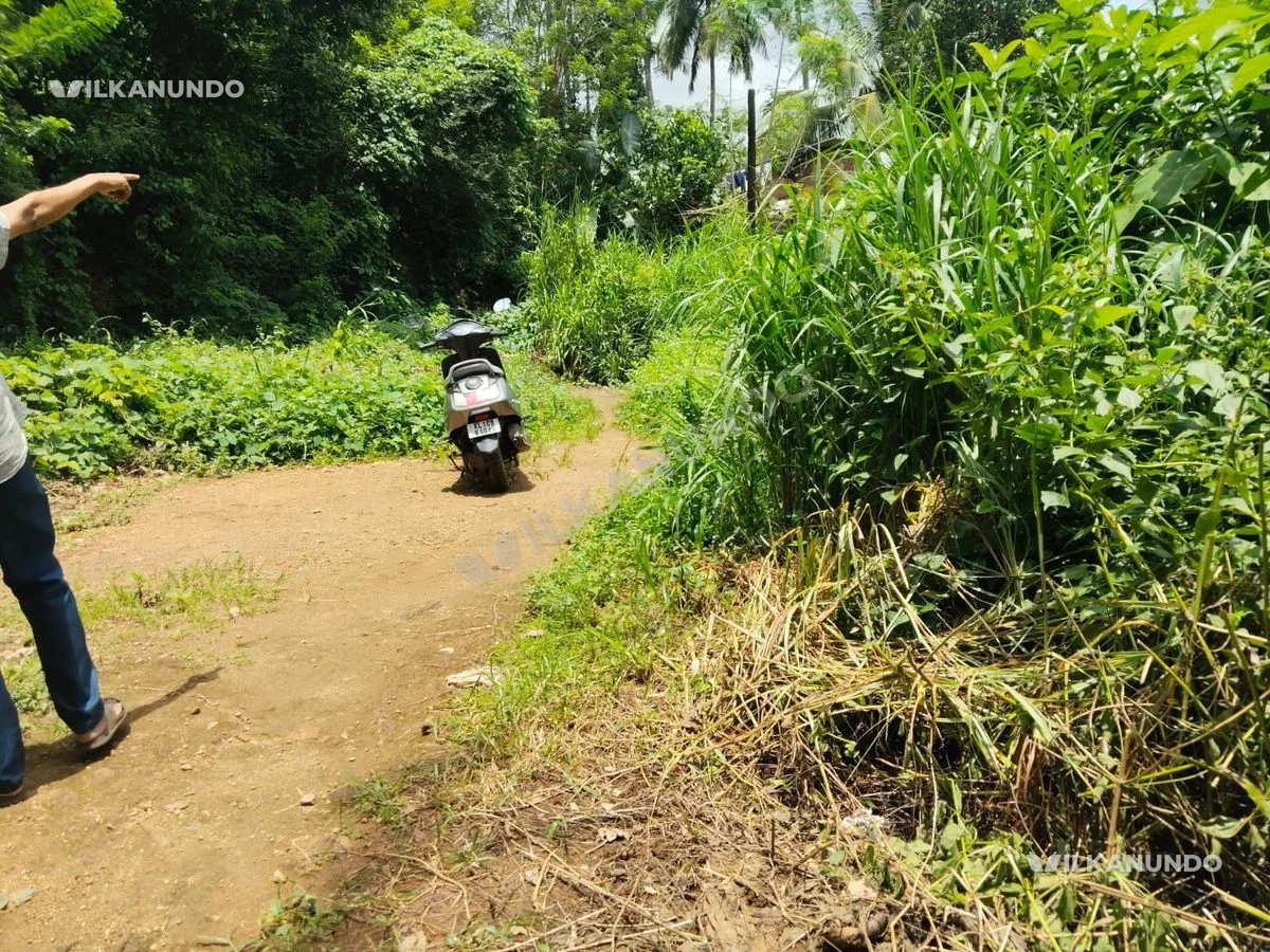മഞ്ചേരിയിൽ പാണ്ടിക്കാട് ബൈപാസിൽ നിന്നും 200 മീറ്റർ മാറി 12 Cent സ്ഥലം വിൽപനക്ക്....
