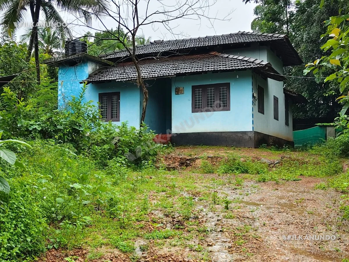 വണ്ടൂർ കാട്ടുമുണ്ടക്ക് അടുത്ത് 12 സെന്റ് സ്ഥലവും ഓടിട്ട വീടും വിൽപനക്ക്